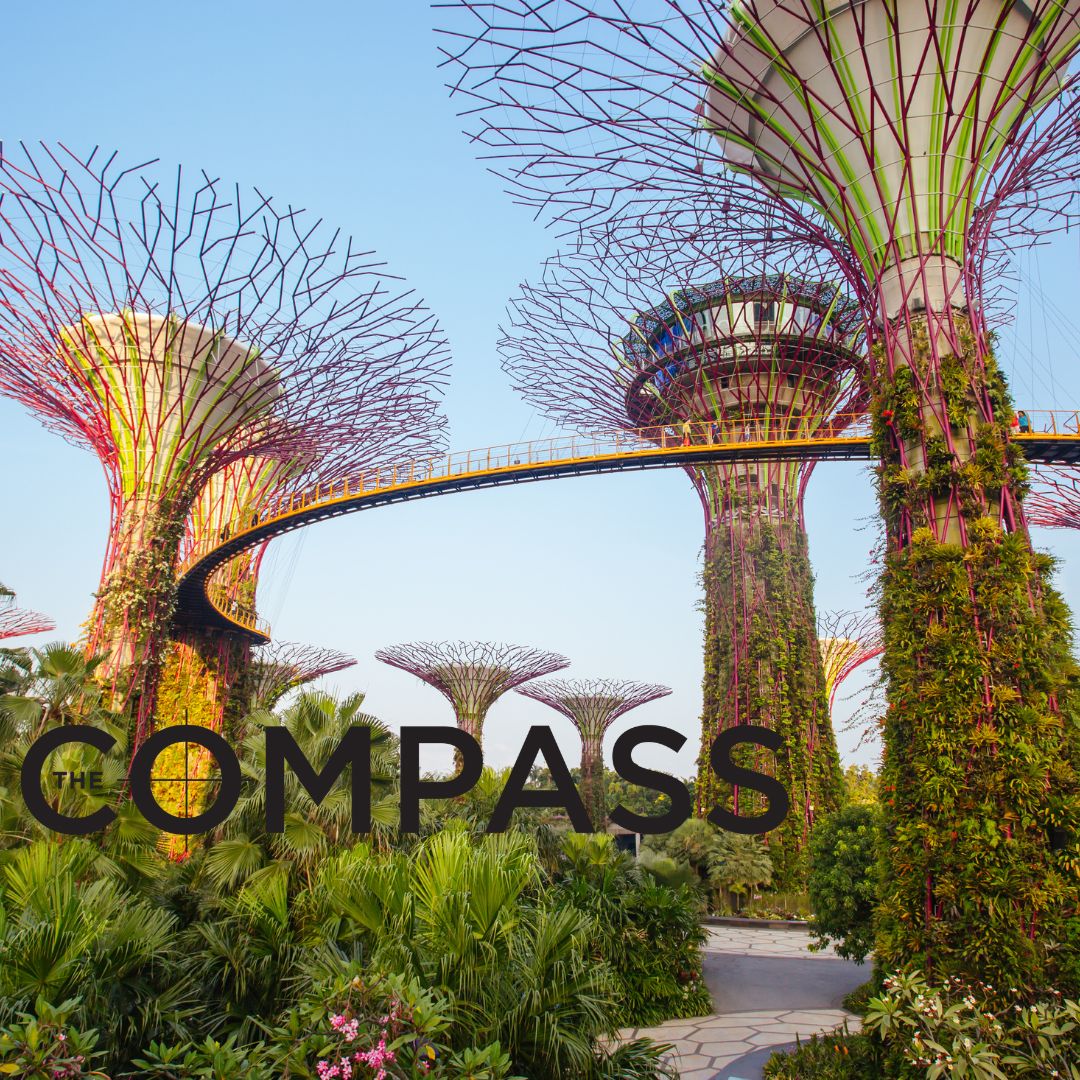 Singapore for the Solo Traveler: Why This Asian City Ranks Top for Independent&nbsp;Travelers