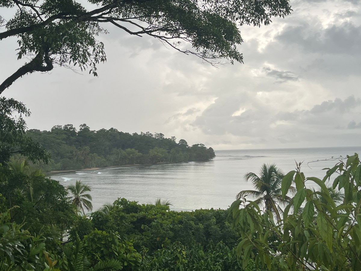 Everything Travel Advisors Need To Know About Bocas del Toro,&nbsp;Panama